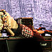 Hedwig_and_the_angry_inch