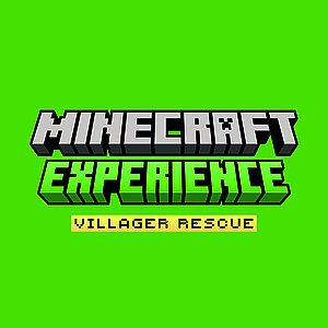 Minecraft Experience