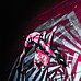 Burlesque_Extravaganza