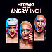 hedwig-and-the-angry-inch