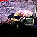 Hedwig_and_the_angry_inch